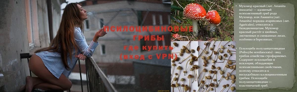 а пвп мука Арсеньев