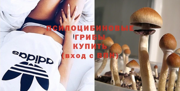 а пвп мука Арсеньев