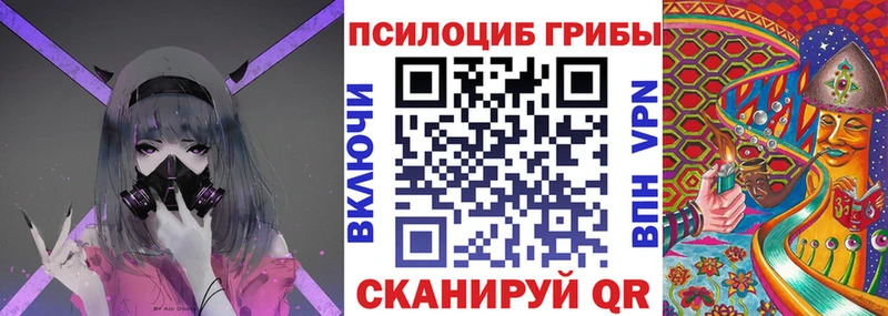 OMG tor Оханск Псилоцибиновые грибы мицелий